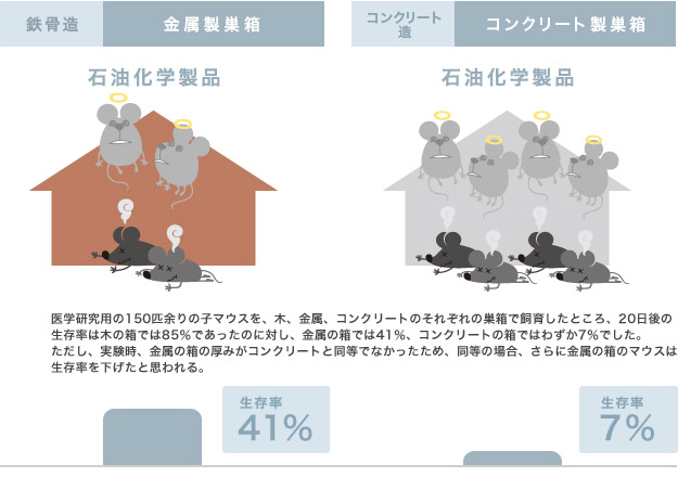 成長を健康的に育むのはやっぱり木の空間！