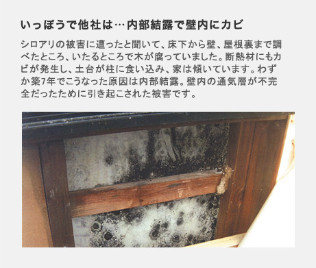 他社の不安な集合材